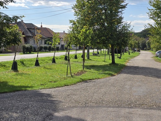 Revitalizujeme a znižujeme klimatický dopad